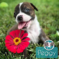 Thumbnail photo of Peggy Ann Marie #1