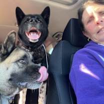 Thumbnail photo of Buffy #2