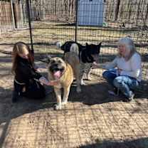 Thumbnail photo of Buffy #4