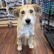 Thumbnail photo of Travis #2