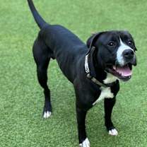 Thumbnail photo of Chap #1