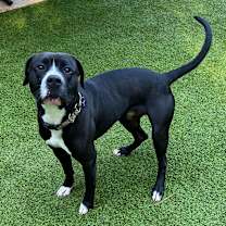 Thumbnail photo of Chap #2