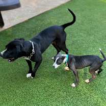 Thumbnail photo of Chap #3