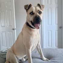 Thumbnail photo of Martin #2