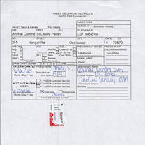 Thumbnail photo of Pecan #2