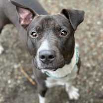 Thumbnail photo of Jordan #4