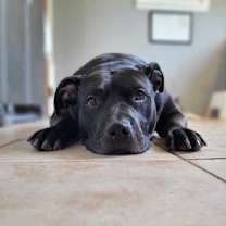 Thumbnail photo of Chyna - #3