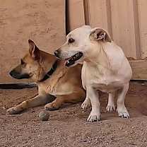 Thumbnail photo of Nick #2