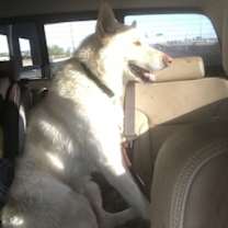 Thumbnail photo of Spirit #1