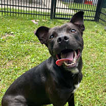 Thumbnail photo of Lane #1