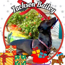 Thumbnail photo of Jackson Bailey #1