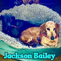 Thumbnail photo of Jackson Bailey #3
