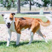 Thumbnail photo of 89553 Crash #1