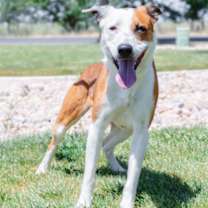 Thumbnail photo of 89553 Crash #2