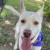 Thumbnail photo of Kira #1