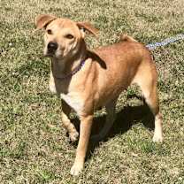 Thumbnail photo of Carmen #1