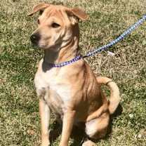 Thumbnail photo of Carmen #2