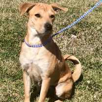 Thumbnail photo of Carmen #3