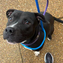 Thumbnail photo of Geri #3