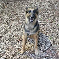 Thumbnail photo of Sweetie #1