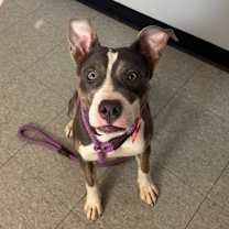 Thumbnail photo of Regina #3