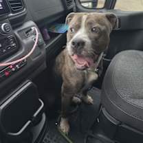 Thumbnail photo of Big Shot #2