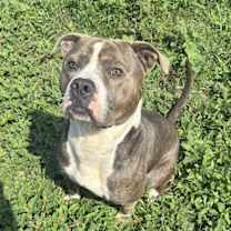 Thumbnail photo of Big Shot #3