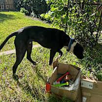 Thumbnail photo of RIP #3