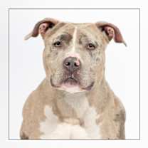 Thumbnail photo of Ruby #2