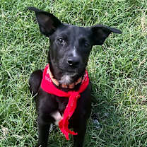 Thumbnail photo of Arly (Arlington) JuM #1