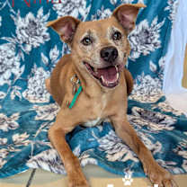 Thumbnail photo of Nina #1