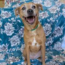 Thumbnail photo of Nina #2