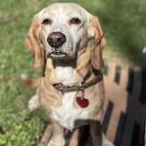 Thumbnail photo of Sunny Sides #1