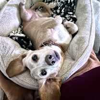 Thumbnail photo of Sunny Sides #3