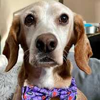 Thumbnail photo of Sunny Sides #4