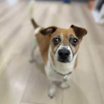 Thumbnail photo of Marvin #2