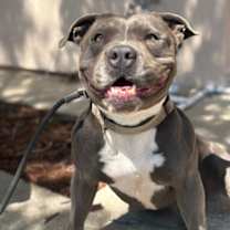 Thumbnail photo of Waffles #3