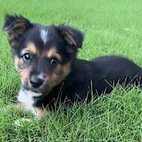 Thumbnail photo of MYRA #3
