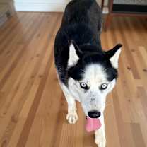 Thumbnail photo of Tabitha #4