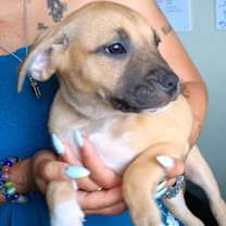 Thumbnail photo of Freyja #2