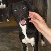 Thumbnail photo of Dina #4