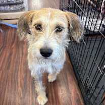 Thumbnail photo of Travis #4