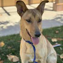 Thumbnail photo of Dakota #3