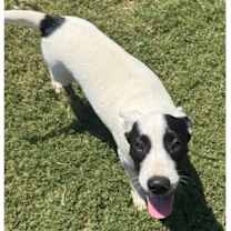 Thumbnail photo of Bentley #3