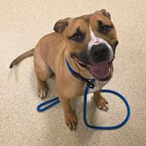 Thumbnail photo of Diamond #2