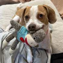 Thumbnail photo of Arlo #1