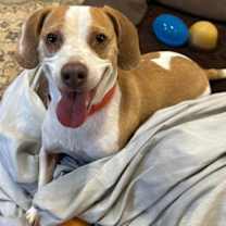 Thumbnail photo of Arlo #2