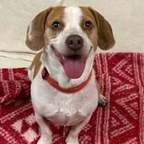 Thumbnail photo of Arlo #3