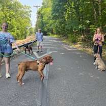 Thumbnail photo of Sheeba #3