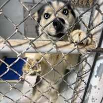 Thumbnail photo of Luka #2